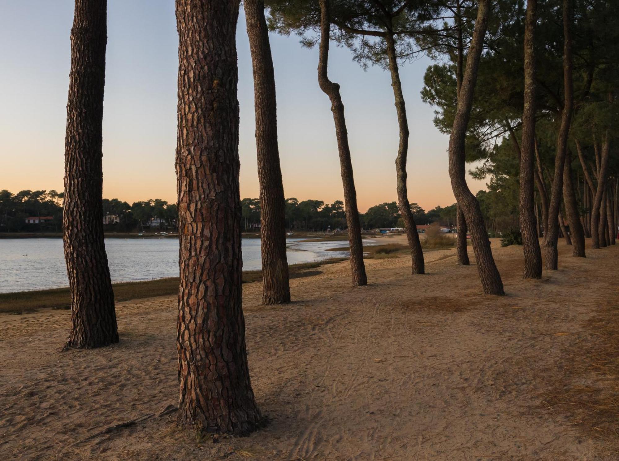 Residence Hoteliere Les Acanthes Soorts-Hossegor Eksteriør billede
