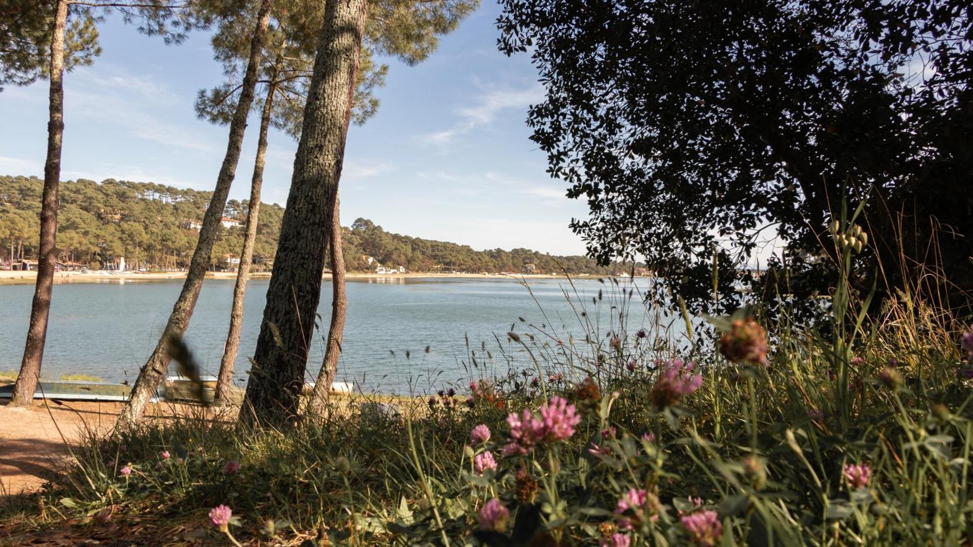 Residence Hoteliere Les Acanthes Soorts-Hossegor Eksteriør billede